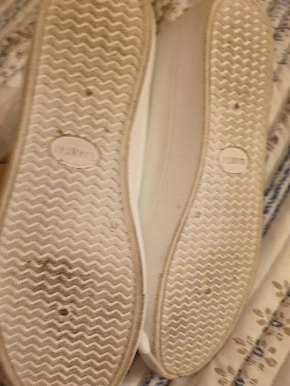SHEIN White Low-Top Canvas Sneakers